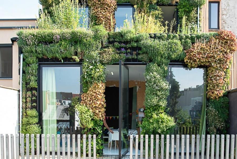 groene gevel muurtuin hangtuin Plantwerpen groene gevel muurtuin hangtuin Plantwerpen